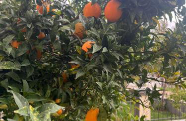 Sea & Sun Retreat - Photo 67