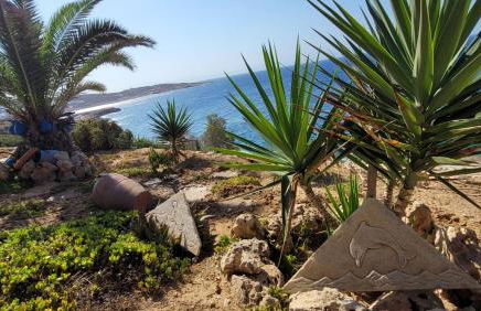 Akrogiali studios - Photo 30