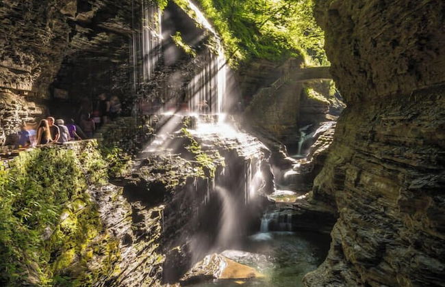 Finger Lakes Treehouse & Spa - Foto 72