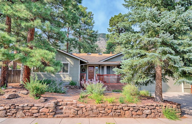 Forest Heights - Photo 17