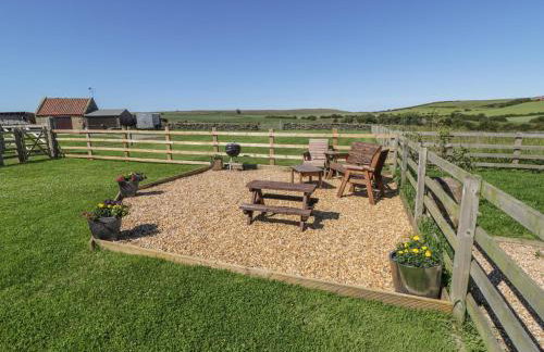 Street House Farm Cottage - Foto 16