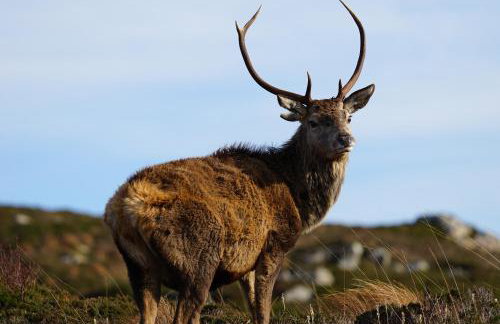 West Horizon holiday cottage - Foto 56