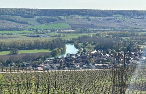 Ecolodge "Les Treilles Monet" Gîte insolite en Champagne à proximité d'Epernay - Foto 16