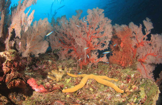 Passeio de barco com chão de vidro - Foto 3