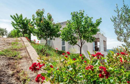 Apartmani Gelo - Foto 68