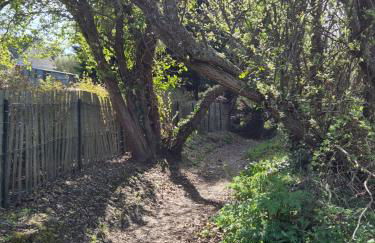 Kerlavost6 - Foto 77