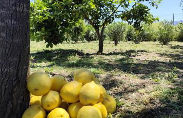 Andalusian Pool Parties Music & Magic - Photo 7