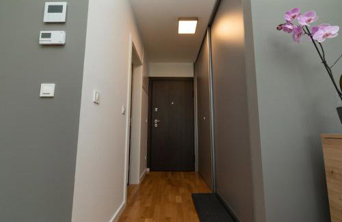 Apartman Manči - Foto 23