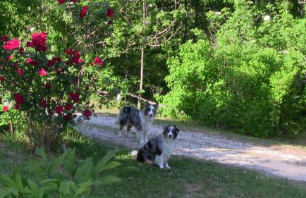 Agriturismo Frallarenza - Foto 51