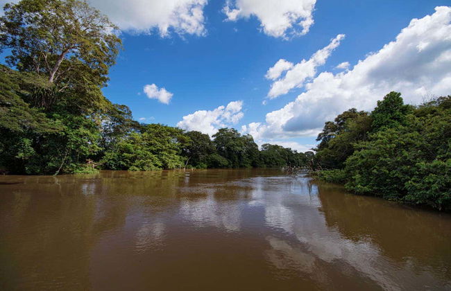 Excursão a Caño Negro - Foto 3