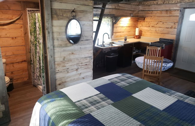 Avens Alaska - Foto 6