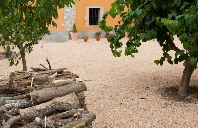 Can Dalemus - Photo 37