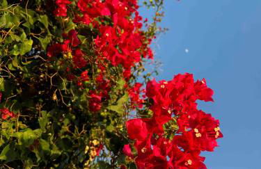 Finca La Preciosa - Photo 27