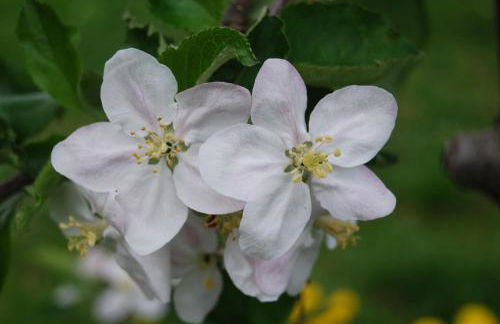 Kessler's Mountain Lodge - Foto 32