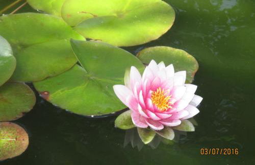 Ferienwohnung Virginija - Foto 23