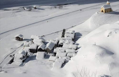 Verde Bosco - Photo 21