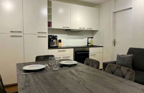 G&P Housing Apartments - XXL Wohnung für Familien & Gruppen 120qm mit 3 Schlafzimmern, 3 Badezimmern, Panoramabalkon und großer Küche - Foto 19