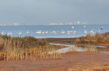 Villa VistaMar Retreat El Carmoli - Foto 36