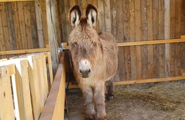 Cocon familial à la ferme - Foto 25