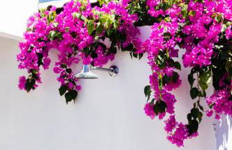 Vila Bella Barra Grande - Photo 23