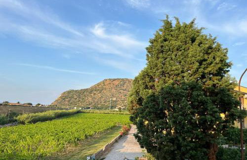 PignaRossa Appartamenti - Foto 45