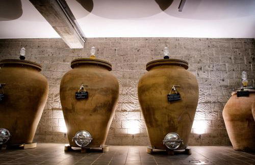 i Cacciagalli Wine Resort - Foto 27