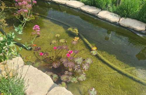 A la Campagne ,Halte ,Séjour et Détente - Foto 17