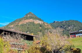 Ferienwohnung Hörnleblick - Foto 18