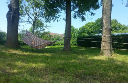 Zielone Wakacje Kusin, Dom Wakacyjny - Foto 27