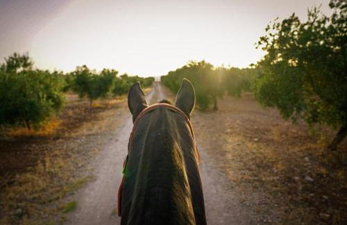 Cortijo Rica - Photo 27