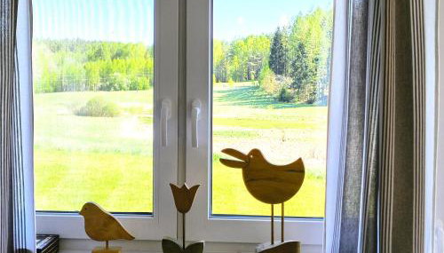 Ptasi Zakątek - Foto 2, Garden view