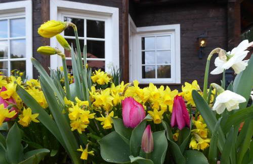 Schwarzwald-Ferienwohnungen Begert - Foto 61