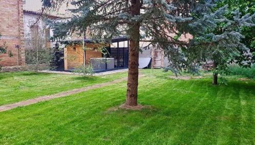 Amaroq Explorers BaseCamp - Foto 2, Garden