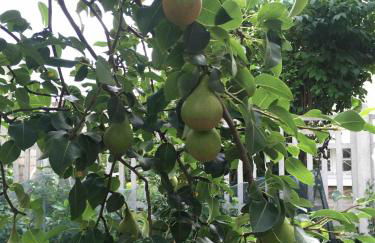 Maison Jardin Proche Paris - Foto 31