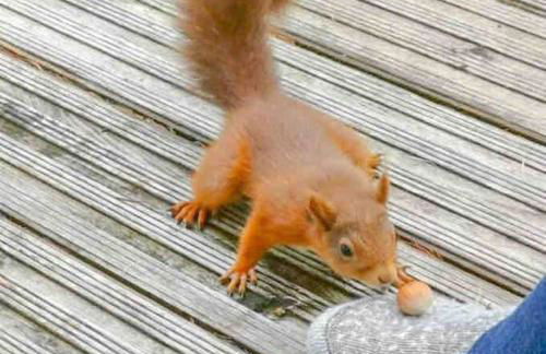 Scottish Highland Cottage Tyndrum Upper Station - Foto 12