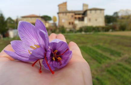 Agriturismo Abbazia Sette Frati a casa di Sara - Foto 40