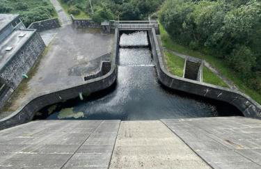 BumbleBee Lodge - Photo 8