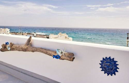 Punta Panoramic - Punta Mujeres - Foto 38