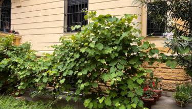 Casa Vacanze Villa Barberina - Foto 5, Garden