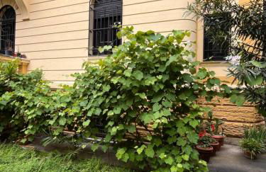 Casa Vacanze Villa Barberina - Foto 5