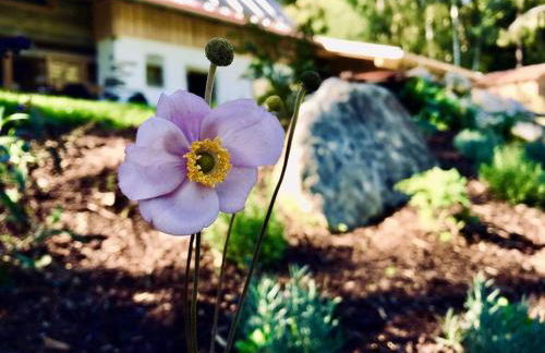 Chalet Dürrfeld ***** - Foto 22