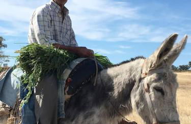 Casadasfurnazinhas - Foto 46