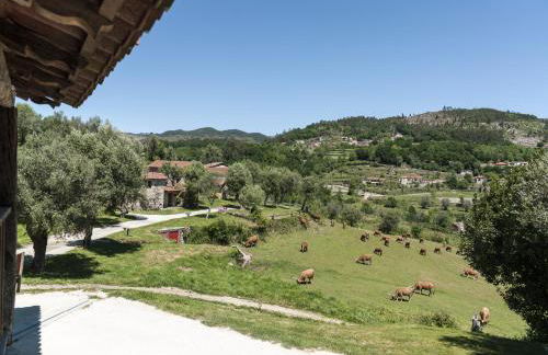 Quinta do Rapozinho - Foto 88