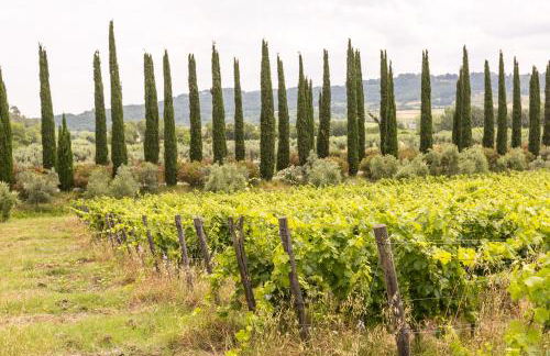 VILLA LIGUSTRO - Foto 19