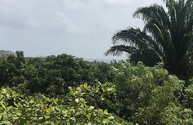 Island Charm Apartments - Foto 7