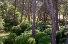 Le Clos Zinou - Foto 27