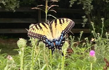 Wine Country Farmhouse - Foto 42