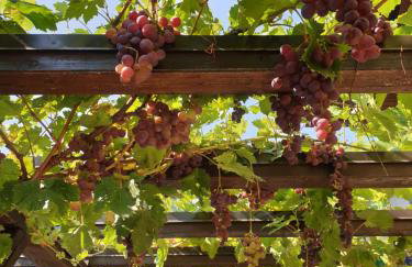 Vila Ema-kuća za odmor - Foto 30