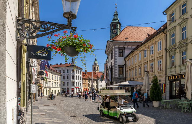 Ljubljana Guided Tour - Foto 1