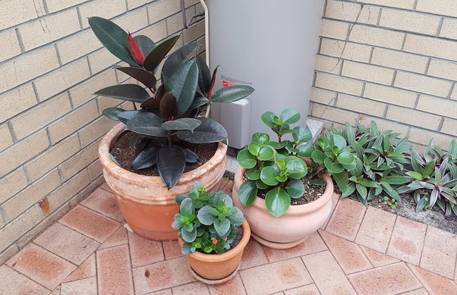 Albany Holiday Units - Photo 43